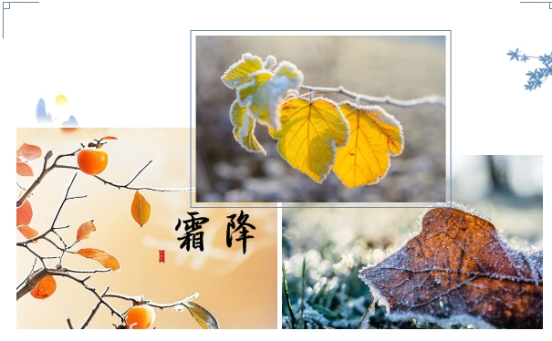 微信截图_20241107145715.png